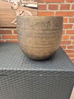 Bloempot intratuin, Ophalen, Overige materialen, Rond, Binnen