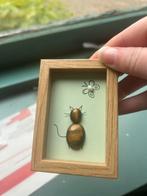 Edelstenen kat, Verzamelen, Mineralen en Fossielen, Ophalen of Verzenden