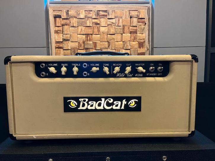 Bad Cat Wild Cat 40R 2003 Sampson Era very rare!! INRUIL MOG, Muziek en Instrumenten, Versterkers | Bas en Gitaar, Zo goed als nieuw
