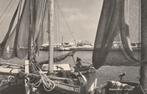 harderwijk    haven, Verzamelen, Ansichtkaarten | Nederland, Verzenden, 1940 tot 1960, Gelopen, Gelderland