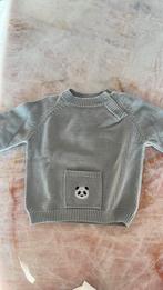 Donsje panda trui 12-18 mnd, Ophalen of Verzenden, Zo goed als nieuw, Jongetje of Meisje, Truitje of Vestje