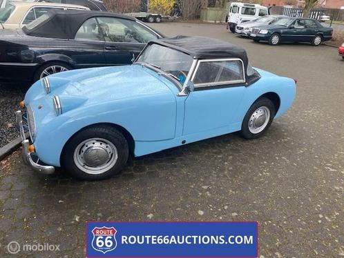 Austin-healey Frogeye MK1 1960 | Route 66 Auctions, Auto's, Oldtimers, Bedrijf, Te koop, Overige merken, Benzine, Coupé, Handgeschakeld