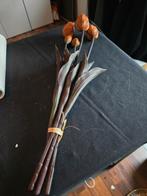 Tulpen, Ophalen of Verzenden