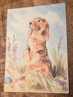 Langharige teckel (dashond) apporteert een blauwe bal, Verzamelen, Verzenden, 1960 tot 1980, Gelopen, Kinderen