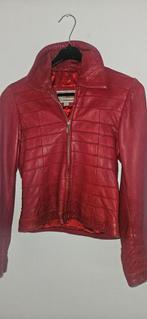 Mooi straks jas, Kleding | Dames, Jassen | Zomer, Ophalen of Verzenden, Gedragen, Zwart