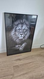 Grote fotolijst met leeuw, Huis en Inrichting, Woonaccessoires | Lijsten, Ophalen, Zo goed als nieuw, 50 tot 75 cm, 75 cm of meer