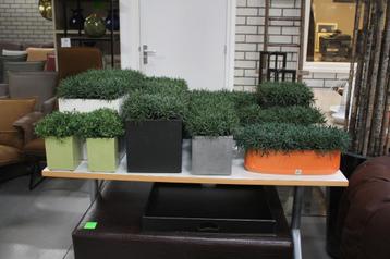 15 kunstplanten in diverse bloempotten decoratie kantoor beschikbaar voor biedingen