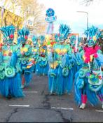 Loopgroep carnaval onderwater wereld 32 personen, Gedragen, Carnaval, Ophalen of Verzenden, Kleding