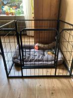 Puppyren, Ophalen, Zo goed als nieuw