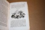 Antiek boek over de Hond. der Hund. 1852., Ophalen of Verzenden, Gelezen, Honden