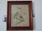 gekleurde vogel tekening, Antiek en Kunst, Ophalen of Verzenden