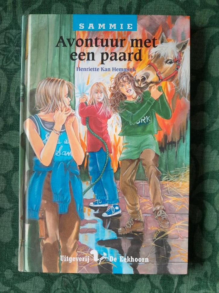 H. Kan Hemmink - Avontuur met een paard, Boeken, Kinderboeken | Jeugd | 10 tot 12 jaar, Zo goed als nieuw, Ophalen of Verzenden