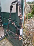 Nieuwe kaptoom, Dieren en Toebehoren, Ophalen of Verzenden, Nieuw