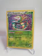 POKEMON KAART; SERPERIOR RC3/RC25, HOLO, Ophalen of Verzenden, Zo goed als nieuw, Losse kaart