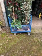nette transport/opslag wagen met aan 4 zijde gaaspanelen, Doe-het-zelf en Verbouw, Transportwagens, 100 liter of meer, Ophalen