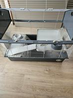 Ferplast Cavia-/Konijnhok, Dieren en Toebehoren, Knaagdieren en Konijnen | Hokken en Kooien, Ophalen, Hok, Cavia, Minder dan 60 cm