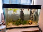 Ciano aquarium, Dieren en Toebehoren, Vissen | Aquaria en Toebehoren, Ophalen of Verzenden, Zo goed als nieuw, Leeg aquarium
