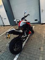 BMW F900R Pro, Motoren, Bedrijf, Naked bike