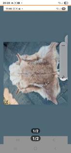 Mooi schoon rendiervacht, Ophalen of Verzenden, Zo goed als nieuw