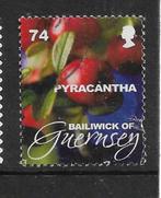 290-25 Guernsey / Pyracantha nom. 74p, Verzenden, Gestempeld