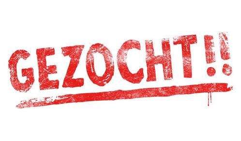 Ram drents heideschaap, Dieren en Toebehoren, Schapen, Geiten en Varkens, Schaap, Mannelijk