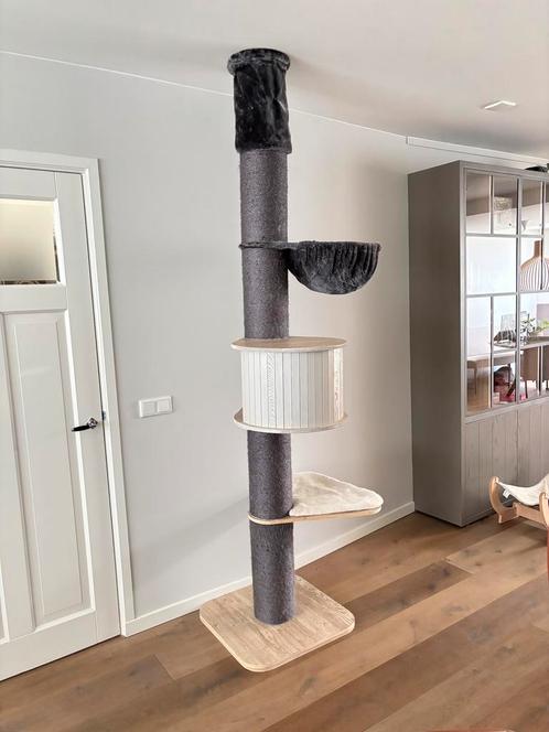 Mooie Krabpaal Maine Coon Toren, Dieren en Toebehoren, Krabmeubelen, Zo goed als nieuw, Ophalen