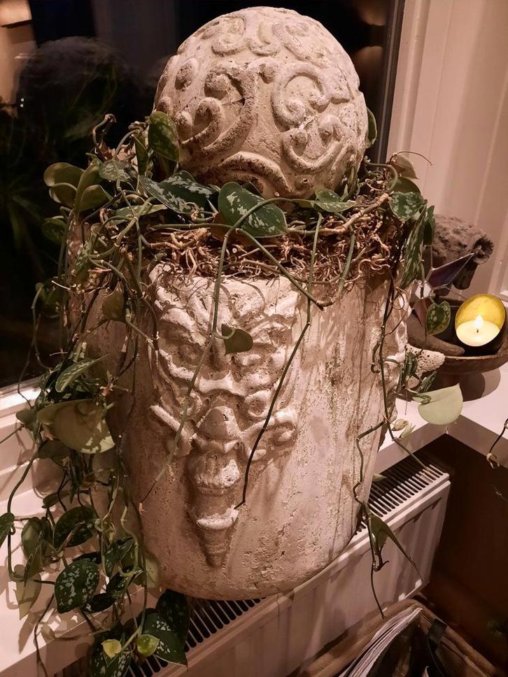 2 Bloempotten met Bal - Optioneel, Tuin en Terras, Bloempotten, Gebruikt, Beton, Binnen, Minder dan 40 cm, Minder dan 25 cm, Rond