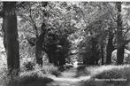 Pa1288 oude gelopen ansichtkaart wandelweg montferland, Ophalen of Verzenden, Gelopen