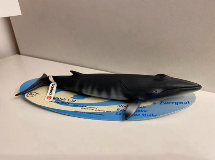 Schleich Dwergwalvis 16087, Verzamelen, Dierenverzamelingen, Zo goed als nieuw, Beeldje of Figuurtje, Ophalen of Verzenden