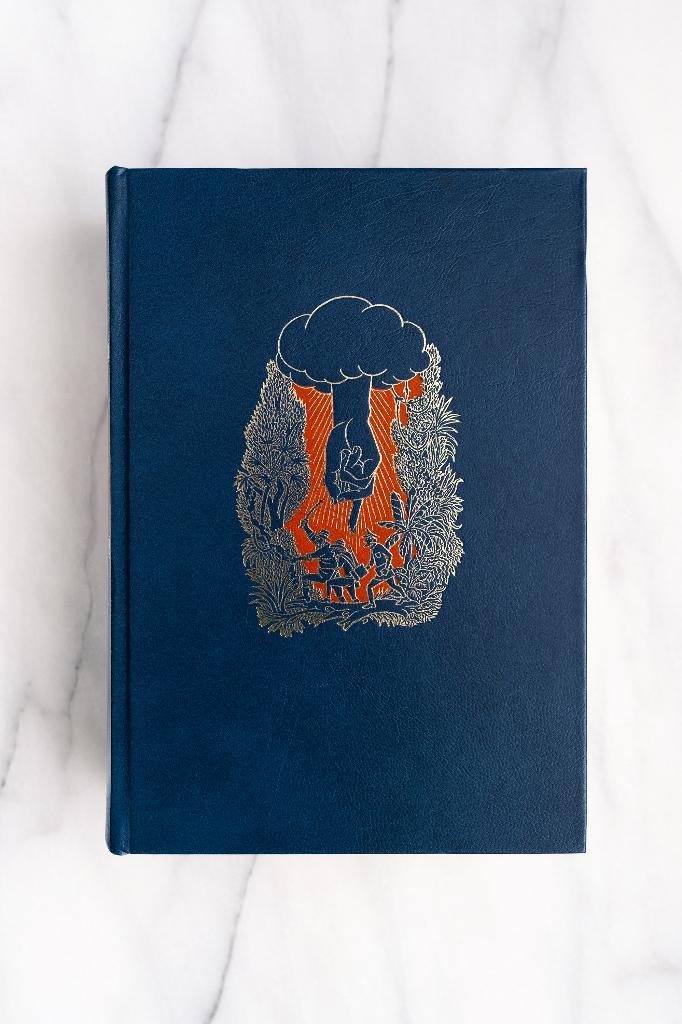 Gods Geuzen – Jan de Hartog, Boeken, Romans, Zo goed als nieuw, Nederland, Ophalen of Verzenden