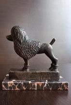 Antieke houten beeldhouwwerk – Poedel op marmeren sokkel – B, Ophalen of Verzenden