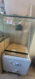 Terrarium, Dieren en Toebehoren, Reptielen en Amfibieën | Toebehoren, Ophalen