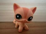 Littlest Pet Shop Shorthair Cat rare green eyes #1764, Verzamelen, Ophalen of Verzenden, Gebruikt