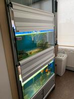 Aquaja Stelling, Dieren en Toebehoren, Ophalen, Leeg aquarium