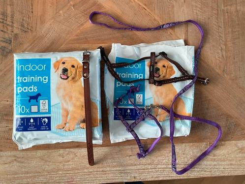 Handige toebehoren aanschaf klein hondje, Dieren en Toebehoren, Honden-accessoires, Zo goed als nieuw, Ophalen of Verzenden