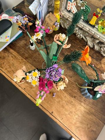 Lego botanicals beschikbaar voor biedingen