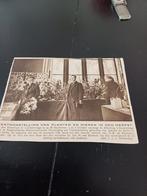 Knipsel planten dierententoonstelling dierentuin Den Haag, Ophalen of Verzenden, Voor 1920, Knipsel(s)