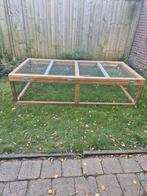 Stevige grote ren, Dieren en Toebehoren, Ophalen, 110 cm of meer, Zo goed als nieuw, 90 cm of meer