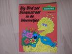 boek Big Bird zet Sesamstraat in de bloemetjes, Boeken, Kinderboeken | Kleuters, Gelezen, Jongen of Meisje, Fictie algemeen, 4 jaar