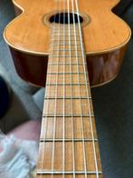 Vicente Sanchis Model 28 klassieke gitaar 70s, Muziek en Instrumenten, Ophalen, Zo goed als nieuw, Overige typen