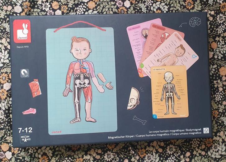 Janod magnetisch spel Het Menselijk Lichaam, Kinderen en Baby's, Speelgoed | Educatief en Creatief, Zo goed als nieuw, Bouwen