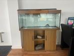 Juwel Rio 240 met meubel en Eheim pomp, Dieren en Toebehoren, Vissen | Aquaria en Toebehoren, Ophalen, Gebruikt, Leeg aquarium
