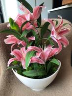 Nieuw mooi groot pot met lelies, Ophalen of Verzenden, Nieuw