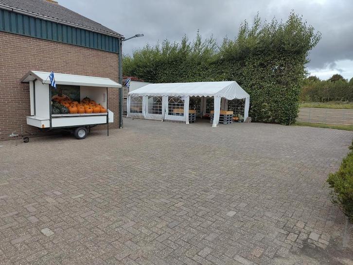 pompoenen en kalebassen, Zakelijke goederen, Agrarisch | Aardappelen, Groenten, Fruit en Vlees, Ophalen of Verzenden