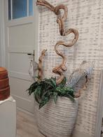 Grote betonnen grijze plantenbak compleet met decoratie., Huis en Inrichting, Ophalen, Zo goed als nieuw