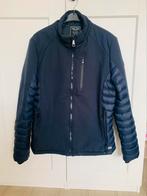 Cars jeans winterjas navyblauw Large, Kleding | Heren, Jassen | Winter, Cars, Maat 52/54 (L), Blauw, Ophalen of Verzenden