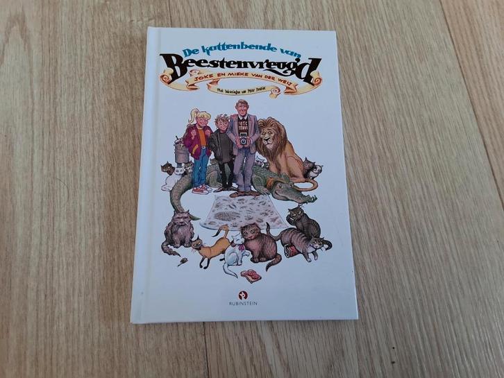 J. van der Weij - De kattenbende van Beestenvreugd, Boeken, Kinderboeken | Jeugd | 10 tot 12 jaar, Zo goed als nieuw, Ophalen of Verzenden