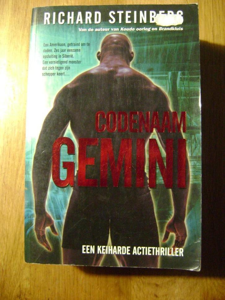 RICHARD STEINBERG Codenaam Gemini, Boeken, Thrillers, Gelezen, Ophalen of Verzenden