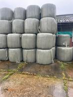 Midibalen, Dieren en Toebehoren, Ophalen of Verzenden, Vee