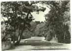 AK Bloemendaal - Hoge Duin en Daalseweg, Verzenden, 1960 tot 1980, Ongelopen, Noord-Holland